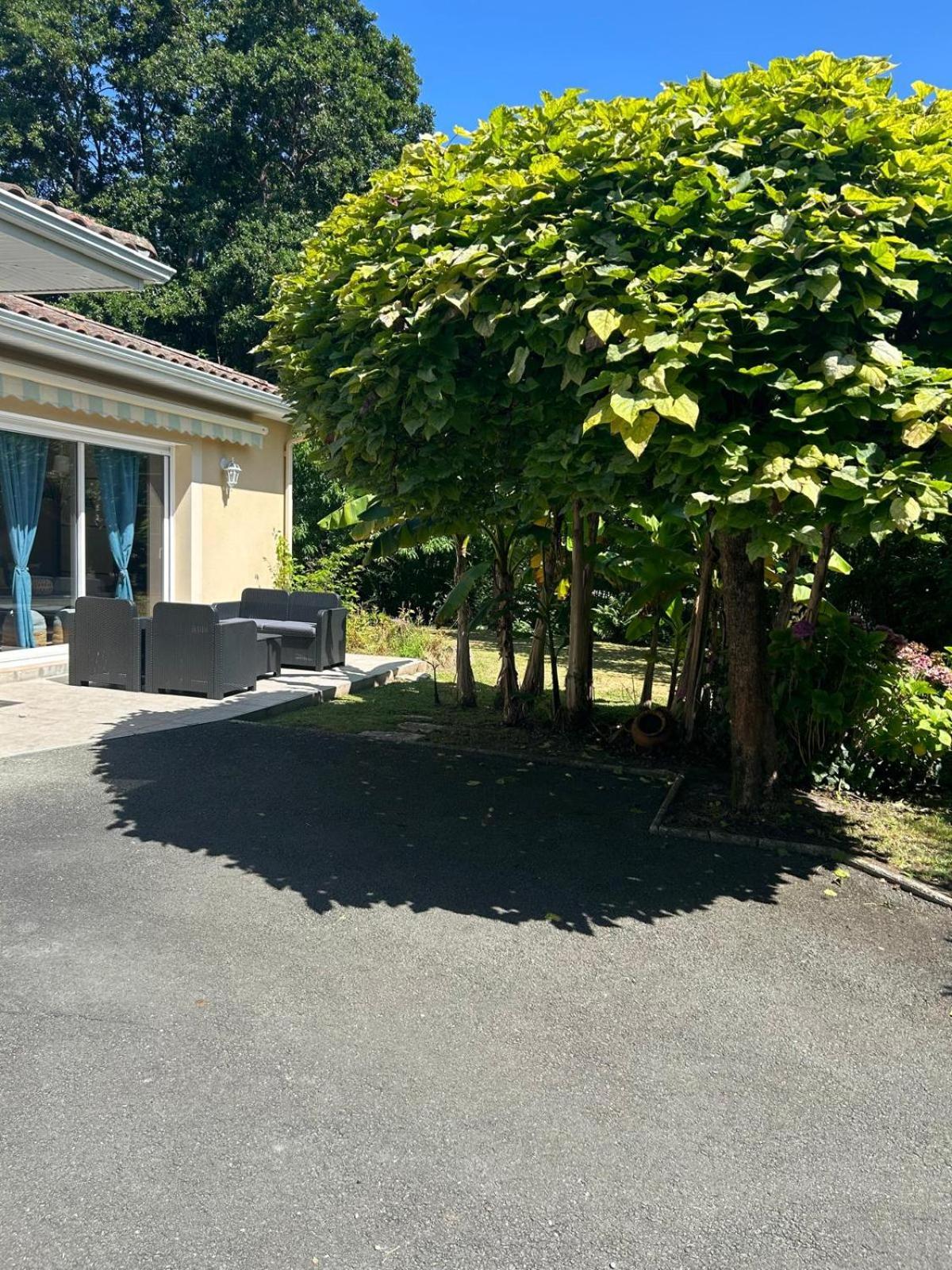Jolie Maison Le Teich Bassin Park/Wifi Eksteriør bilde