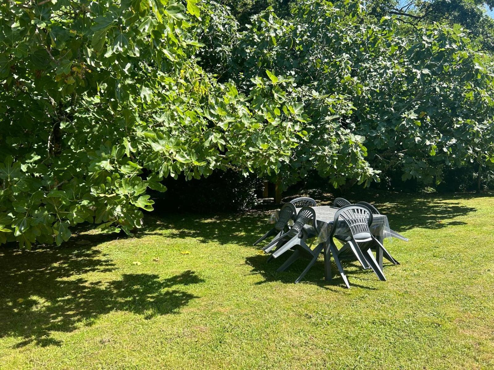Jolie Maison Le Teich Bassin Park/Wifi Eksteriør bilde